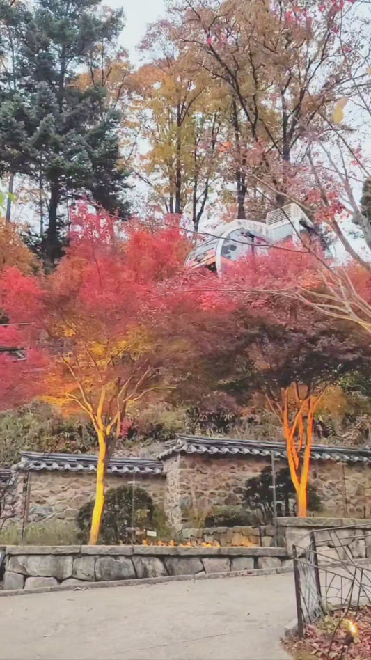 9. Experience Hwadam Forest and Traditional Village Charm