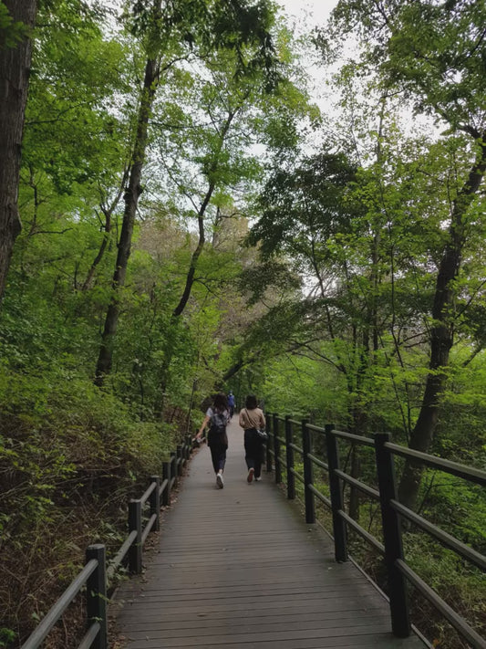 5. Urban Hiking in Ansan and Culinary Adventures in Seoul